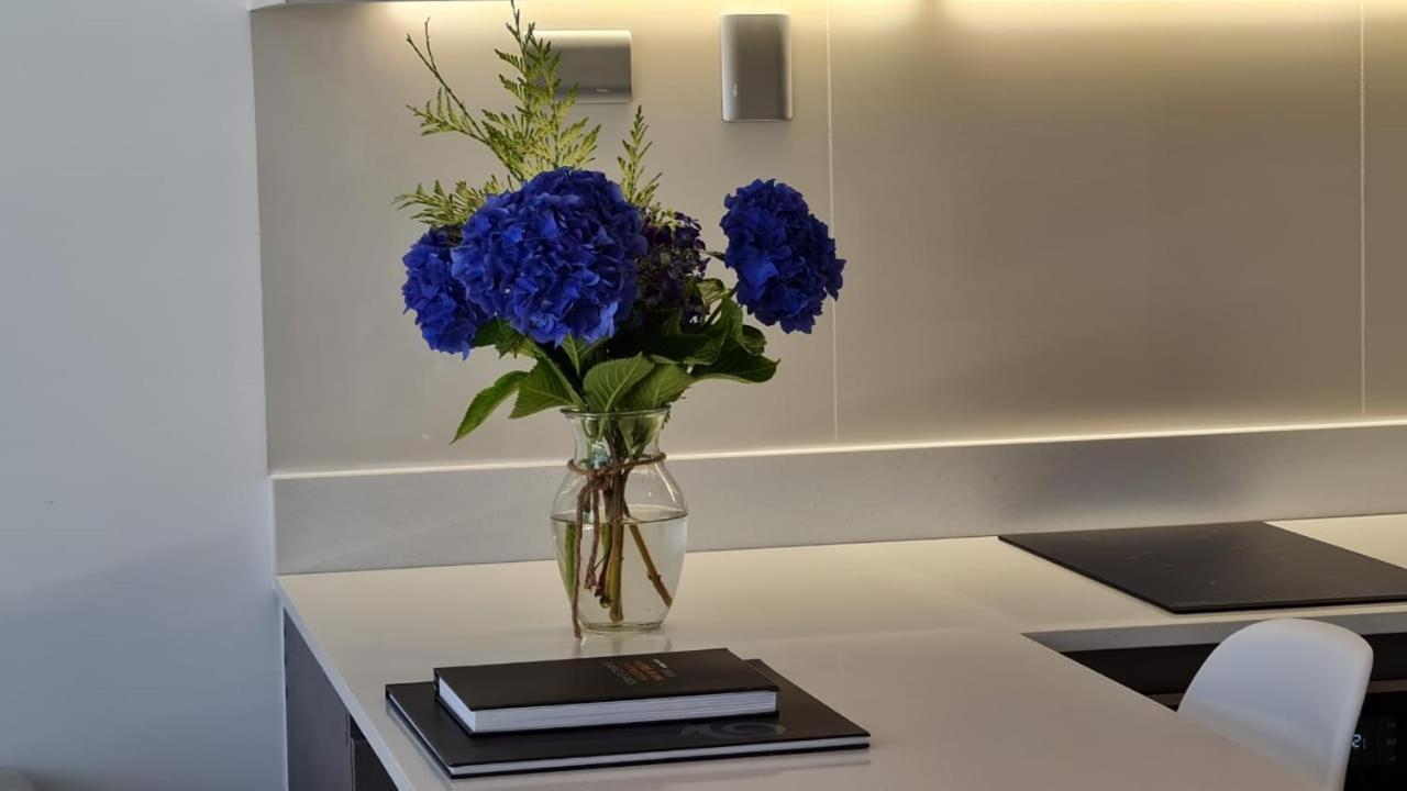 Curitiba Vip Studio 21 Temuco Eksteriør bilde